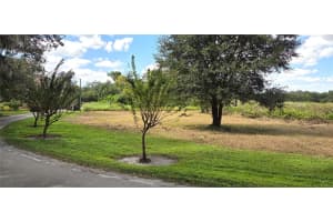 RIVERSIDE PARK RD, ORLANDO, FL 32810 - MLS#MFRTB8444111