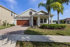 19485 Paddock View Dr, TAMPA