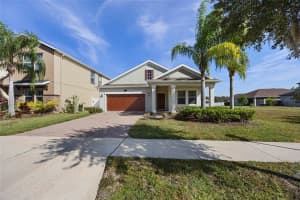 19485 PADDOCK VIEW DRIVE, TAMPA, FL 33647 - MLS#MFRTB8444121