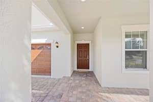 19485 PADDOCK VIEW DRIVE, TAMPA, FL 33647 - MLS#MFRTB8444121