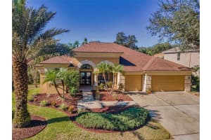 4055 Ligustrum Dr, PALM HARBOR 4055 Ligustrum Dr, PALM HARBOR