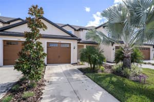 11332 CAY SPRUCE WAY, SAN ANTONIO, FL 33576 - MLS#MFRTB8444139