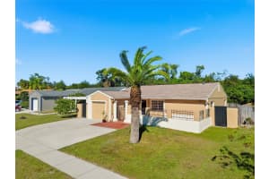 5731 RIDGESTONE DRIVE, TAMPA, FL 33625 - MLS#MFRTB8444147