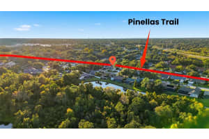 2931 PINEWOOD RUN, PALM HARBOR, FL 34684 - MLS#MFRTB8444157