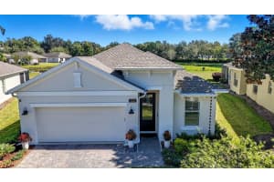 5331 CAPPLEMAN LOOP, BROOKSVILLE, FL 34601 - MLS#MFRTB8444185