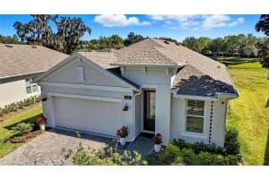 5331 CAPPLEMAN LOOP, BROOKSVILLE, FL 34601 - MLS#MFRTB8444185