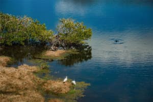 6315 SHORELINE DRIVE, MADEIRA BEACH, FL 33708 - MLS#MFRTB8444192