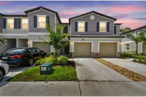 2513 Sunray Venus Way, RUSKIN 2513 Sunray Venus Way, RUSKIN