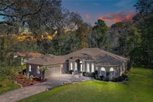 12054 QUAIL RIDGE DRIVE, SPRING HILL, FL 34610 - MLS#MFRTB8444211