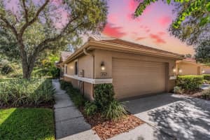 17569 Fairmeadow Dr, TAMPA