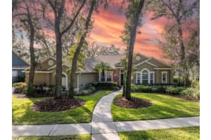 15015 EAGLERISE DRIVE, LITHIA, FL 33547 - MLS#MFRTB8444250