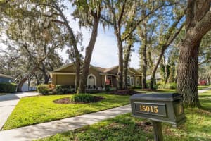 15015 EAGLERISE DRIVE, LITHIA, FL 33547 - MLS#MFRTB8444250