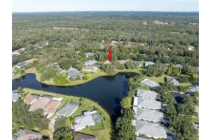 15015 EAGLERISE DRIVE, LITHIA, FL 33547 - MLS#MFRTB8444250