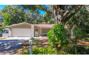 1614 BRAUND AVENUE, CLEARWATER, FL 33756 - MLS#MFRTB8444285