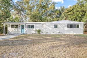 110 MISSION HILLS AVENUE, TEMPLE TERRACE, FL 33617 - MLS#MFRTB8444288