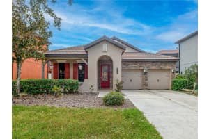 8249 Dunham Station Dr, TAMPA 8249 Dunham Station Dr, TAMPA