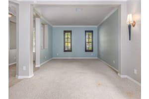 8249 DUNHAM STATION DRIVE, TAMPA, FL 33647 - MLS#MFRTB8444301