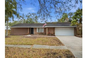 4602 Buckeye Rd, TAMPA