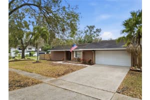 4602 BUCKEYE ROAD, TAMPA, FL 33624 - MLS#MFRTB8444380