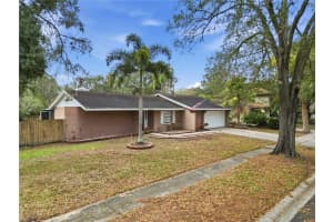 4602 BUCKEYE ROAD, TAMPA, FL 33624 - MLS#MFRTB8444380