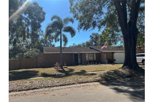 4602 BUCKEYE ROAD, TAMPA, FL 33624 - MLS#MFRTB8444380