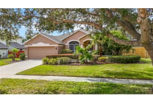 416 GOLDEN ELM DRIVE, SEFFNER, FL 33584 - MLS#MFRTB8444409