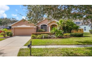 416 GOLDEN ELM DRIVE, SEFFNER, FL 33584 - MLS#MFRTB8444409