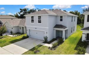 13648 WHISKEY DAISY DRIVE, DADE CITY, FL 33525 - MLS#MFRTB8444432