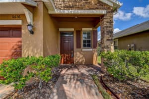 11656 LAKE BOULEVARD, NEW PORT RICHEY, FL 34655 - MLS#MFRTB8444436