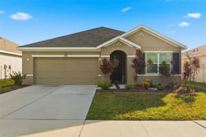 11714 Miracle Mile Dr, RIVERVIEW