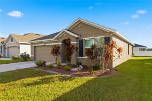 11714 MIRACLE MILE DRIVE, RIVERVIEW, FL 33578 - MLS#MFRTB8444438