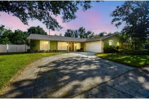 4161 ROLLING SPRINGS DRIVE, TAMPA, FL 33624 - MLS#MFRTB8444488