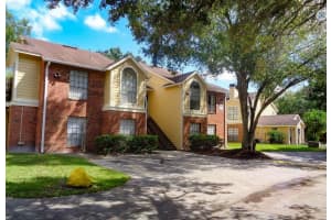 8641 FANCY FINCH DRIVE, TAMPA, FL 33614 - MLS#MFRTB8444522