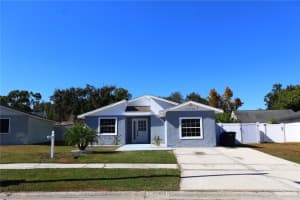 12336 CLOVERSTONE DRIVE, TAMPA, FL 33624 - MLS#MFRTB8444542