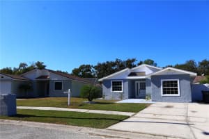 12336 CLOVERSTONE DRIVE, TAMPA, FL 33624 - MLS#MFRTB8444542