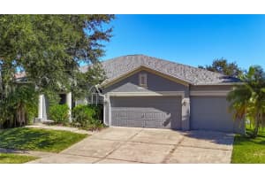 16158 BRIDGEPARK DRIVE, LITHIA, FL 33547 - MLS#MFRTB8444579