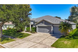 16158 BRIDGEPARK DRIVE, LITHIA, FL 33547 - MLS#MFRTB8444579