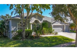 16158 BRIDGEPARK DRIVE, LITHIA, FL 33547 - MLS#MFRTB8444579