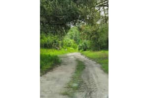 LADD AVE, NEW PORT RICHEY, FL 34654 - MLS#MFRTB8444602