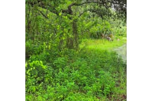 LADD AVE, NEW PORT RICHEY, FL 34654 - MLS#MFRTB8444602