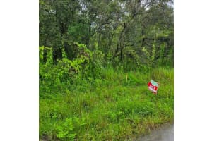 LADD AVE, NEW PORT RICHEY, FL 34654 - MLS#MFRTB8444602