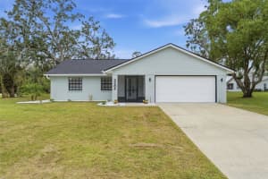 3384 GRAYTON DRIVE, SPRING HILL, FL 34609 - MLS#MFRTB8444619