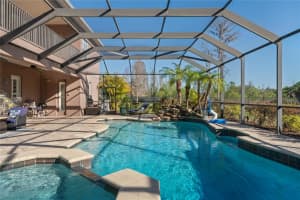 21604 DRAYCOTT WAY, LAND O LAKES, FL 34637 - MLS#MFRTB8444622