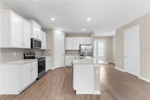 11399 CAY SPRUCE WAY, SAN ANTONIO, FL 33576 - MLS#MFRTB8444625