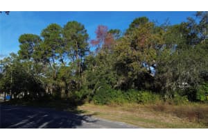 7939 RHANBUOY ROAD, SPRING HILL, FL 34606 - MLS#MFRTB8444653