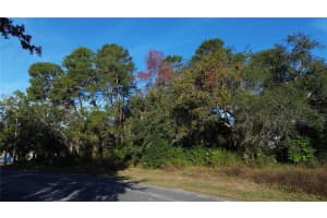 7939 RHANBUOY ROAD, SPRING HILL, FL 34606 - MLS#MFRTB8444653