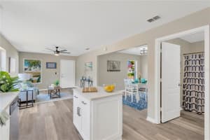 1217 BALL STREET, PLANT CITY, FL 33563 - MLS#MFRTB8444702