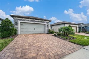 6041 SHOREBIRD BRANCH, LAND O LAKES, FL 34638 - MLS#MFRTB8444724