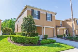 4220 WINDING RIVER WAY, LAND O LAKES, FL 34639 - MLS#MFRTB8444742