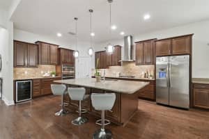 19411 RANCHVIEW COURT, LAND O LAKES, FL 34638 - MLS#MFRTB8444758